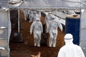 Επίσημο: Ψηφίστηκε ο ενιαίος φορτιστής για smartphones και όλες τις φορητές ηλεκτρονικές συσκευές - Πότε ξεκινά το μέτρο - εικόνα 2