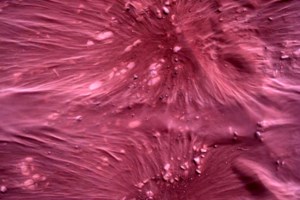 Υπήρχε νερό στον Άρη για χρόνια; - Το Perseverance της NASA βρήκε πετρώματα με άλατα [βίντεο]