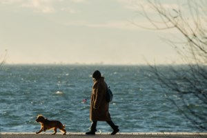 Αλκυονίδες μέρες: Ποια είναι η Αλκυόνη και από πού προέκυψε το όνομα - Ο αρχαίος μύθος και ο αστερισμός των Πλειάδων - εικόνα 2