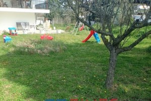 Θεσσαλονίκη: "Πήγε να την πνίξει"- Καταγγελία για τον 62χρονο που άνοιξε φιάλες υγραερίου στο ΙΧ με τα παιδιά του μέσα - εικόνα 3