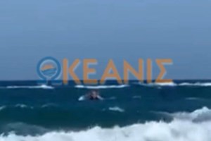 Η ιστορία του ψαροντουφεκά που ψαρεύει παράνομα με μπουκάλες- Πουλάει τα ψάρια σε ακριβά εστιατόρια στη Μύκονο - εικόνα 3