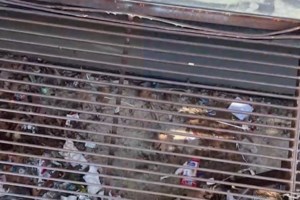 Οργή για το bullying στη Ν. Ιωνία: "Δεν θέλω να μιλήσω με κανέναν", λέει ο πατέρας του 12χρονου που τον έκλεισαν σε φρεάτιο - εικόνα 2