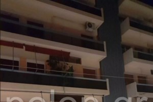 Βιολογικοί γονείς ζητούν να πάρουν πίσω την κόρη τους μετά από πέντε χρόνια - Είχε δοθεί σε νηπιοτροφείο