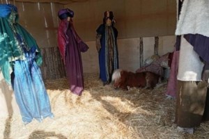 Ποια καταστήματα είναι ανοιχτά σήμερα Κυριακή: Το ωράριο λειτουργίας τους