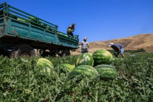 Έρχονται "καμπάνες" στις εταιρείες πιστοποίησης βιολογικών προϊόντων – Από αναστολή έως και οριστική άρση της διαπίστευσης - εικόνα 2