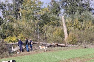 Απίστευτο και όμως αληθινό: Ζευγάρι στη Λάρισα τράκαρε ο ένας τον άλλον