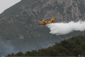 Φωτιά σε χαμηλή βλάστηση στο Μαρκόπουλο: Μεγάλη επιχείρηση της Πυροσβεστικής - εικόνα 3