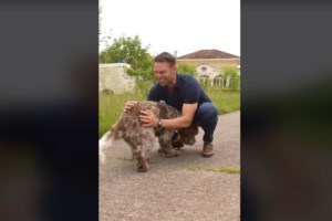 "Γατάκια, εγώ γκαντέμης;": Ο Μητσοτάκης στο Tik Tok για την πρόκριση Ολυμπιακού και Παναθηναϊκού στο Final-4