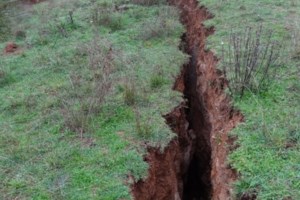 Σεισμός Ελασσόνας: Αλεξ, ο σκύλος "φύλακας άγγελος" έσωσε οικογένεια - Τους τράβαγε από το πόδι και τους έβγαλε από το σπίτι - εικόνα 2