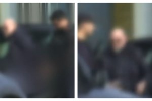 "Βιολάντα": Οι λόγοι που οδήγησαν στη σύλληψη του ιδιοκτήτη - Κρατείται στην Αστυνομία Τρικάλων μέχρι την απολογία του