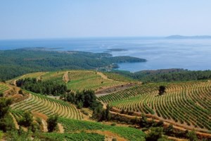 Καταβάλλεται σήμερα το εφάπαξ επίδομα των 300 ευρώ σε 8.122 μη επιδοτούμενους μακροχρόνια ανέργους