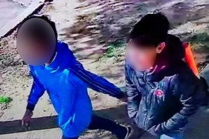 Σοκ στη Γερμανία: 14χρονος συνελήφθη για τη δολοφονία 6χρονου - "Απίστευτης βαρβαρότητας και βαναυσότητας έγκλημα"