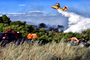 Φωτιά στην Κάρυστο: Κοντά σε κατοικημένη περιοχή οι φλόγες - Συναγερμός για τους δυνατούς ανέμους στην περιοχή - εικόνα 2