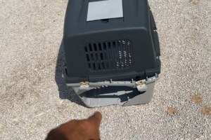 "Πέταξε" η κίνηση στα ελληνικά αεροδρόμια - Έρχεται ρεκόρ το 2024 - Πώς καταγράφεται η κίνηση