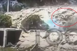 Πυροβολισμός 16χρονου στο Λαγονήσι: Ρώσος έψαχνε το παιδί στο νοσοκομείο - Προσποιούταν τον συγγενή [βίντεο]