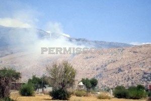 Φωτιά στην Αρτέμιδα: Καίει κοντά σε σπίτια