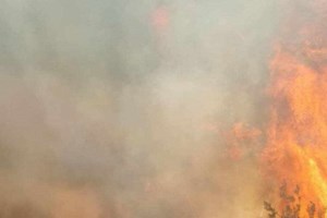 Φωτιά στη Νέα Μάκρη στο Μάτι: Κινητοποιήθηκαν εναέριες δυνάμεις- Προληπτικό μήνυμα από το 112