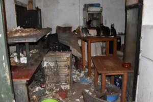 Δονούσα: Στη φυλακή ο 63χρονος βασανιστής ζώων που είχε φυλακίσει 58 γάτες - "Τα αγαπάω και θέλω μόνο το καλό τους" είπε στο δικαστήριο - εικόνα 2