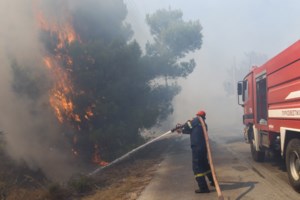 Φωτιά στην Αρτέμιδα: Πού έχει διακοπεί η κυκλοφορία