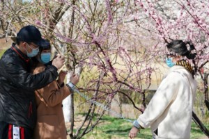 Αυξάνεται για δύο μήνες το όριο ανέπαφων συναλλαγών στα 50 ευρώ - εικόνα 2