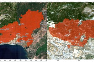 Αυτά είναι τα 12+1 μέτρα στήριξης στους πληγέντες από τις πυρκαγιές στον Εβρο- Αποζημιώσεις, αναστολή πληρωμής φόρων, ΕΝΦΙΑ