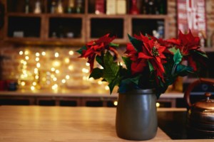 Εορταστικό ωράριο: Σε γιορτινούς ρυθμούς η αγορά - Οι 3 Κυριακές που θα είναι ανοιχτά τα μαγαζιά