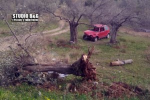 Τραγωδία στην Αμφίκλεια: Νεκρή επιβάτης ΙΧ που έπεσε πάνω σε τσιπουράδικο - εικόνα 2