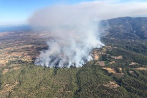 Φωτιά στα Μέγαρα: Μετά από σκληρή μάχη έχει περιοριστεί δυτικά από τη Ζάχουλη - Δεύτερο μικρό μέτωπο προς Πευκενέα - εικόνα 9