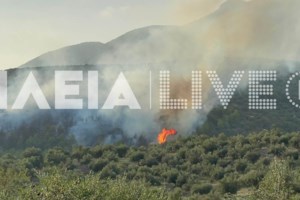 Φωτιά στην Κομοτηνή: Μαίνεται για 13η μέρα η πυρκαγιά στο Παπίκιο Όρος - Γιατί δεν επιχειρούν εναέρια μέσα