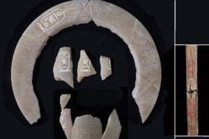 Εντυπωσιακή ανακάλυψη έφερε τη λύση ενός αινίγματος: Ταυτοποίησαν τη μούμια του φαραώ Σεσόνκ Γ΄ από αγαλματίδια υπηρετών