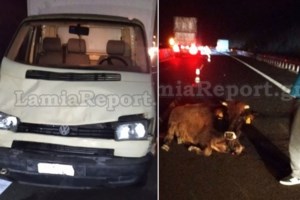 Λάρισα: Συναγερμός για ανατροπή βυτιοφόρου που μετέφερε εύφλεκτο υλικό - Ρίψη αφρού από 38 πυροσβέστες