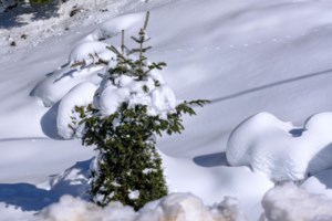 Με ανοιξιάτικο καιρό και 18άρια έρχεται το 2025: Ηλιοφάνεια και άνοδος της θερμοκρασίας την Πρωτοχρονιά - εικόνα 3