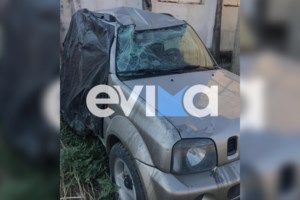 Ο "πόλεμος" του αγριογούρουνου στην ηπειρωτική Ελλάδα - "Εφτασαν 600.000, πρέπει να θηρευτούν 270.000" - εικόνα 2