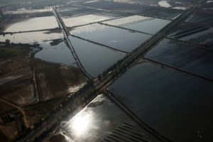 Πώς να βρω κοπέλα; Πού έχει τα καλύτερα σουβλάκια;- Οι πιο περίεργες ερωτήσεις στον "Ψηφιακό Βοηθό" - εικόνα 2