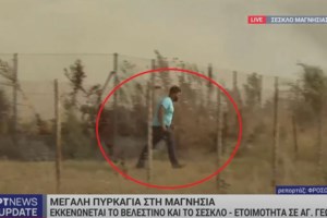 Φωτιά στη Μαγνησία: Δεκάδες αγελάδες κάηκαν σε βουστάσια της περιοχής - Προσοχή σκληρές εικόνες - εικόνα 2