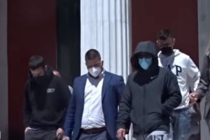 Ζώα συντροφιάς: Συγκροτείται ειδική Γραμματεία - Επικεφαλής η δικηγόρος και ακτιβίστρια, Μαριάνθη Δημοπούλου - εικόνα 3