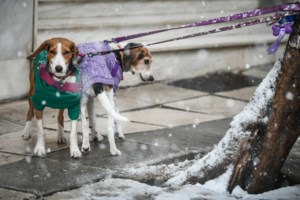 Αρναούτογλου: Υψηλές θερμοκρασίες για την εποχή Τετάρτη - Πέμπτη - Αλλαγή με χειμωνιάτικο σκηνικό από την Παρασκευή - εικόνα 3