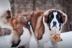 Πορτογαλία: Σε κατάσταση ανάγκης η χώρα - Η Γερμανία στέλνει ιατρικό προσωπικό και ιατρικό εξοπλισμό