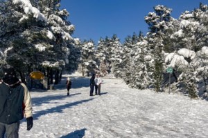 Κακοκαιρία "Ελπίδα": Οι δύο κινήσεις "κλειδιά" για να προστατεύσουμε το αυτοκίνητό μας από τον παγετό
