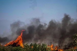 Μεγάλη φωτιά στον Αλίαρτο: Μήνυμα του 112 - Σηκώθηκαν αεροπλάνο και ελικόπτερο