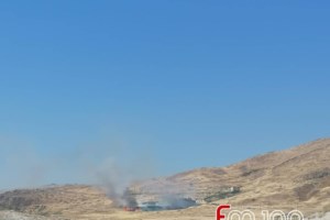 Φωτιά στη Νεάπολη Ηλείας: Στο νοσοκομείο πυροσβέστης μετά από τσίμπημα φιδιού