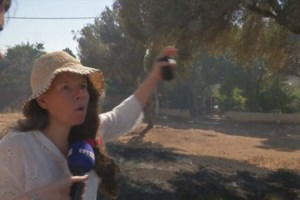 Ναταλί Κάκκαβα: Οι αναρτήσεις από τη φωτιά στην Παλαιά Φώκαια - "Δυστυχώς κάηκαν σπίτια" [βίντεο]