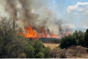Θ. Κολυδάς: Tα μποφόρ πέφτουν, επίμονη και ενοχλητική ζέστη δημιουργεί συνθήκες για εκδήλωση πυρκαγιών