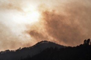 Φωτιά στην Ανατολική Μάνη: Νέα εστία στην περιοχή Δρυάλια - Επιχειρούν και εναέρια μέσα