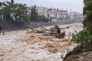 Φθιώτιδα: Χείμαρρος παρέσυρε αυτοκίνητα - "Έσπασε το ποτάμι και πλημμύρισαν τα πάντα" [εικόνες] - εικόνα 6