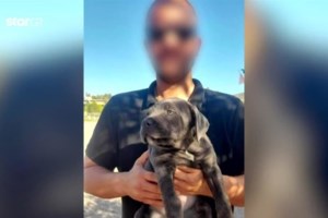 Ν. Κόσμος: Εμπλοκή με τη διπλή δολοφονία στον Κορυδαλλό ψάχνει η ΕΛΑΣ - Ο βαρύς οπλισμός στο κλεμμένο αυτοκίνητο - εικόνα 4