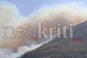 Νέα μάχη με τις φλόγες στην Αγία Τριάδα Σητείας: Η φωτιά πλησιάζει τα πρώτα λιόφυτα, ισχυροί στροβιλισμοί του ανέμου - εικόνα 2