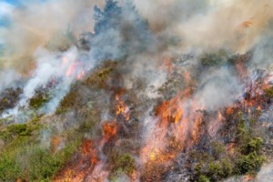 Φωτιά στην Καλαμπάκα στην περιοχή Αγναντιά: Συναγερμός στην πυροσβεστική