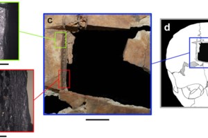 Ισραήλ: Επίθεση ενόπλου στο Τελ Αβίβ με τρεις τραυματίες- "Ο τρομοκράτης εξοντώθηκε" - εικόνα 2