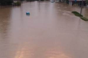 Ο "Μπάλλος" σάρωσε και την Ηλεία - Πλημμύρισαν σπίτια και δρόμοι [εικόνες] - εικόνα 4